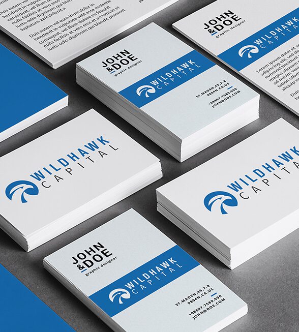 Wild Hawk Capital Logo Design